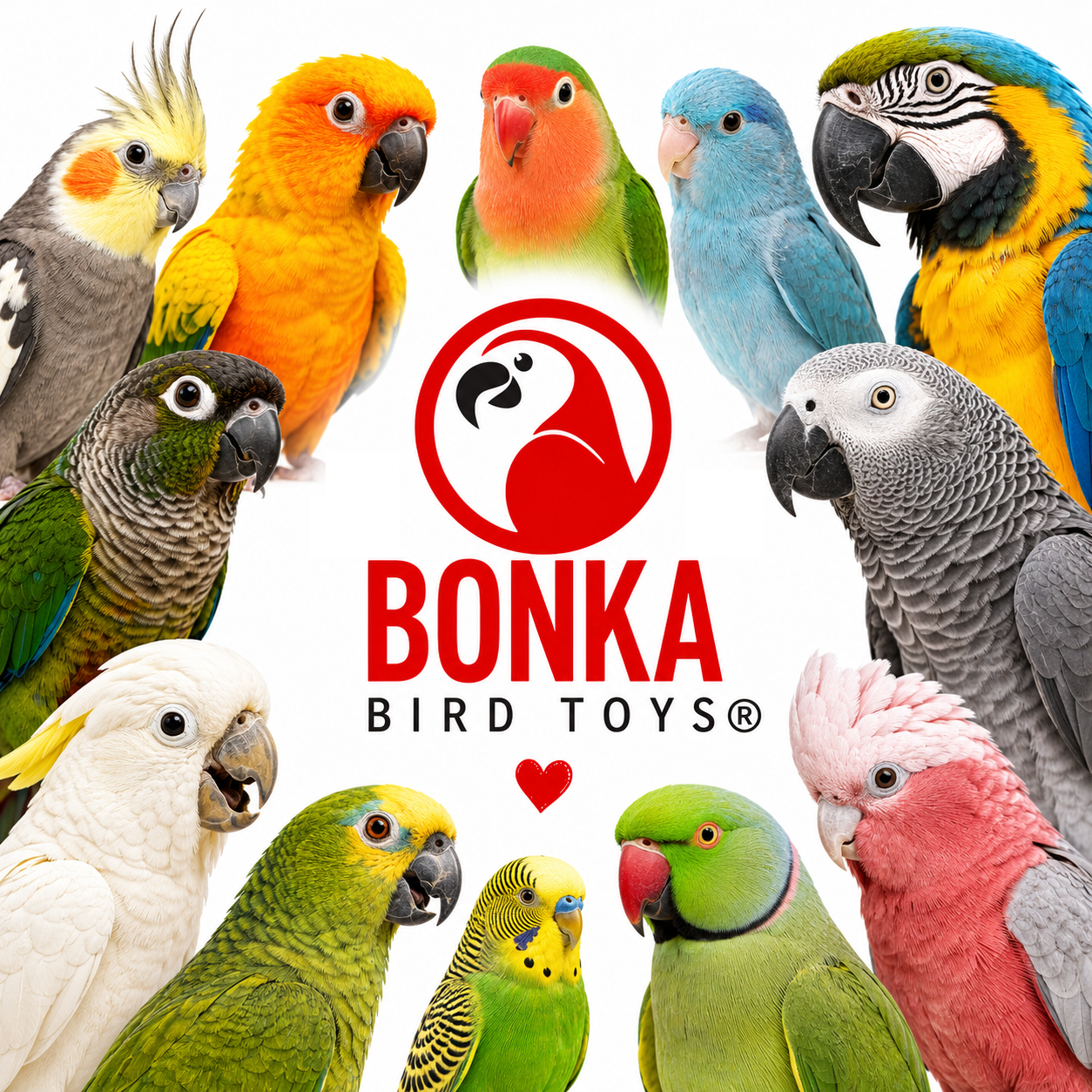 Big Sola Cubes - Bonka Bird Toys