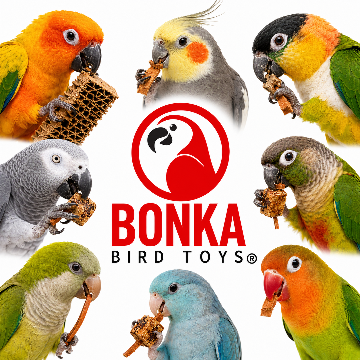1423 Mahogany Munch Board - Bonka Bird Toys