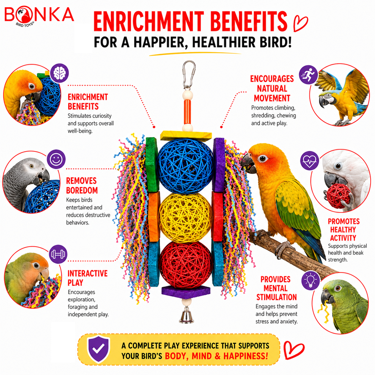 1854 Tri Foraging Star - Bonka Bird Toys