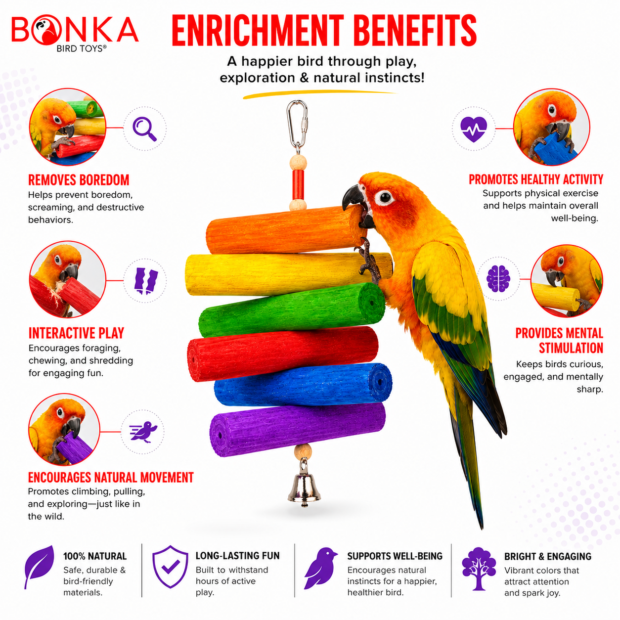 2036 Rainbow Sola - Bonka Bird Toys