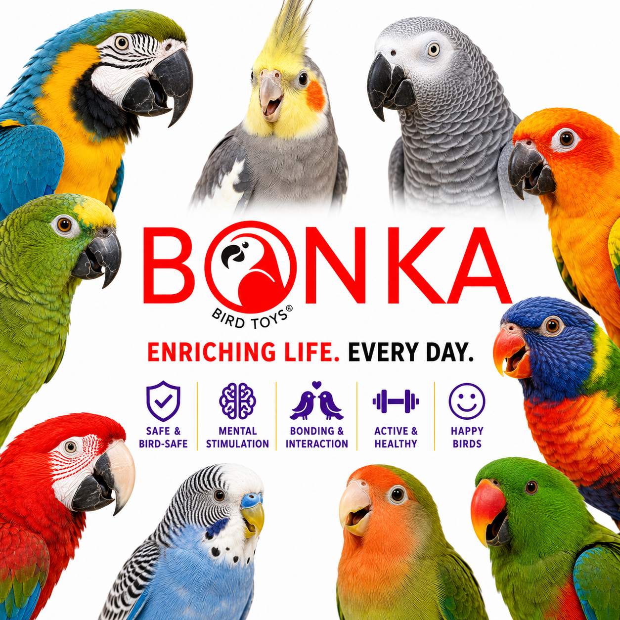 2677 Big Duo Helix - Bonka Bird Toys