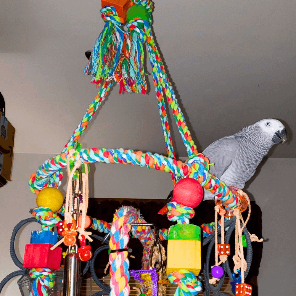 1111 Huge Pyramid Rope Swing - Bonka Bird Toys