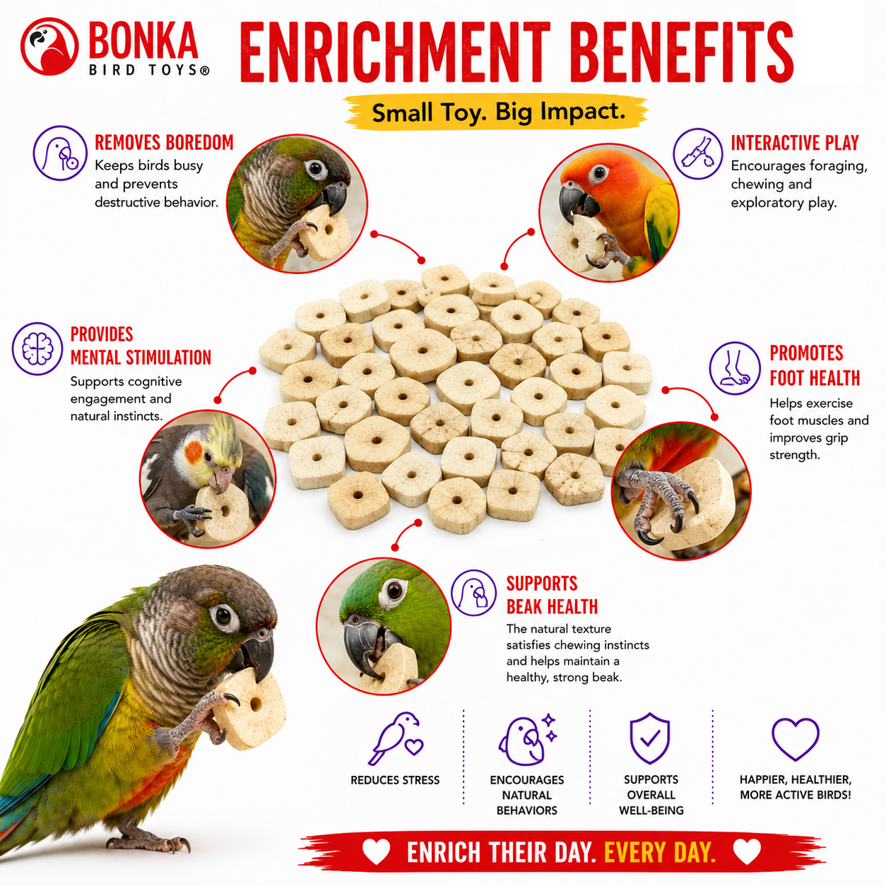 3889 Sola Squares - Bonka Bird Toys