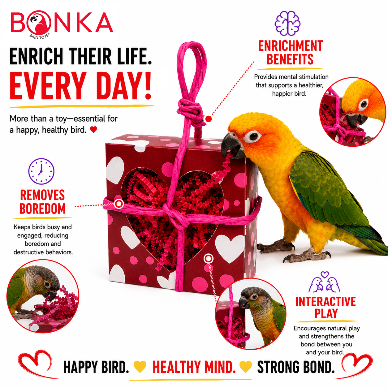 2764 Heart Box Forager - Bonka Bird Toys