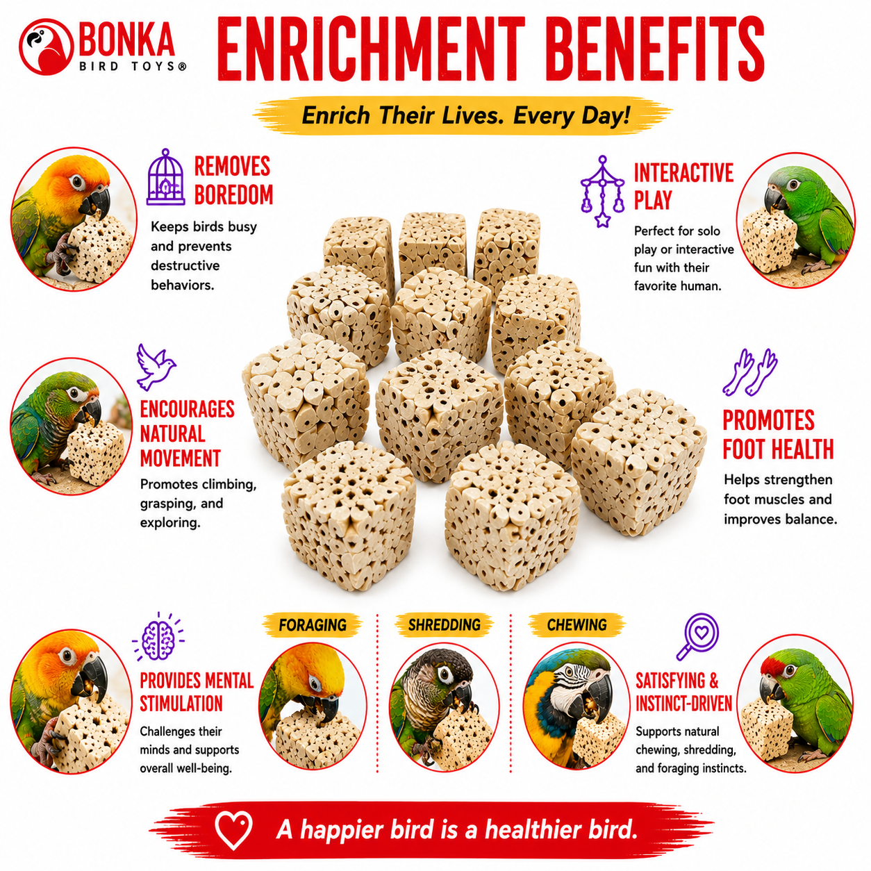 Small Sola Cubes - Bonka Bird Toys