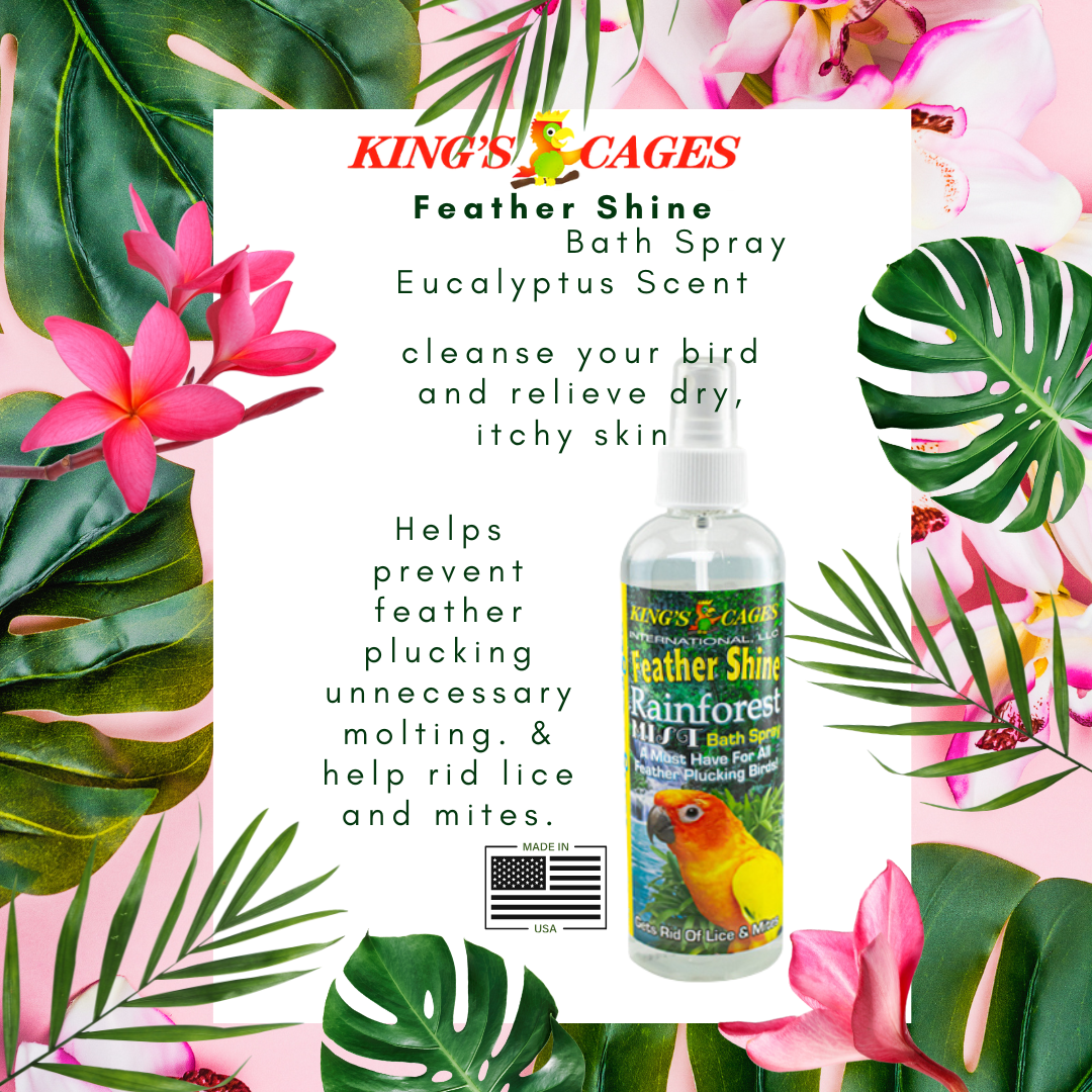 Kings Cages Rainforest Mist Feather Shine Bath Spray For 8oz (Copy)
