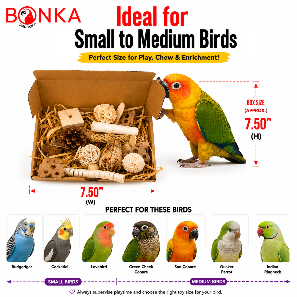 2028 Natural Foraging Bonka Box - Bonka Bird Toys