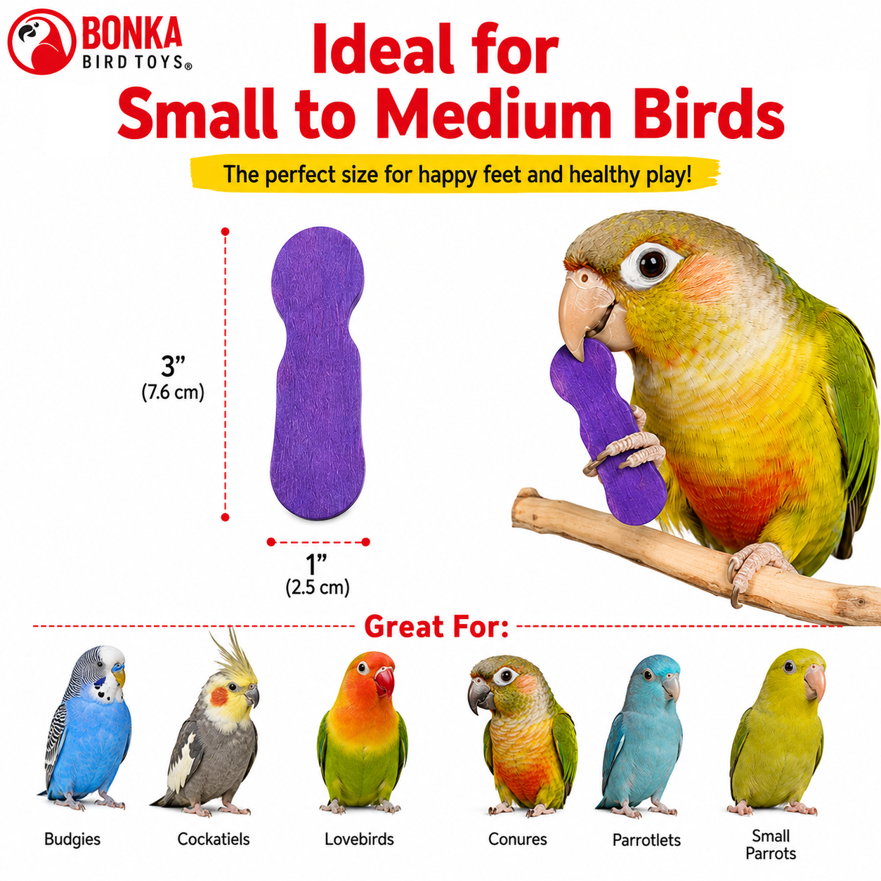 2665 PK50 Mini Scoop Spoons - Bonka Bird Toys