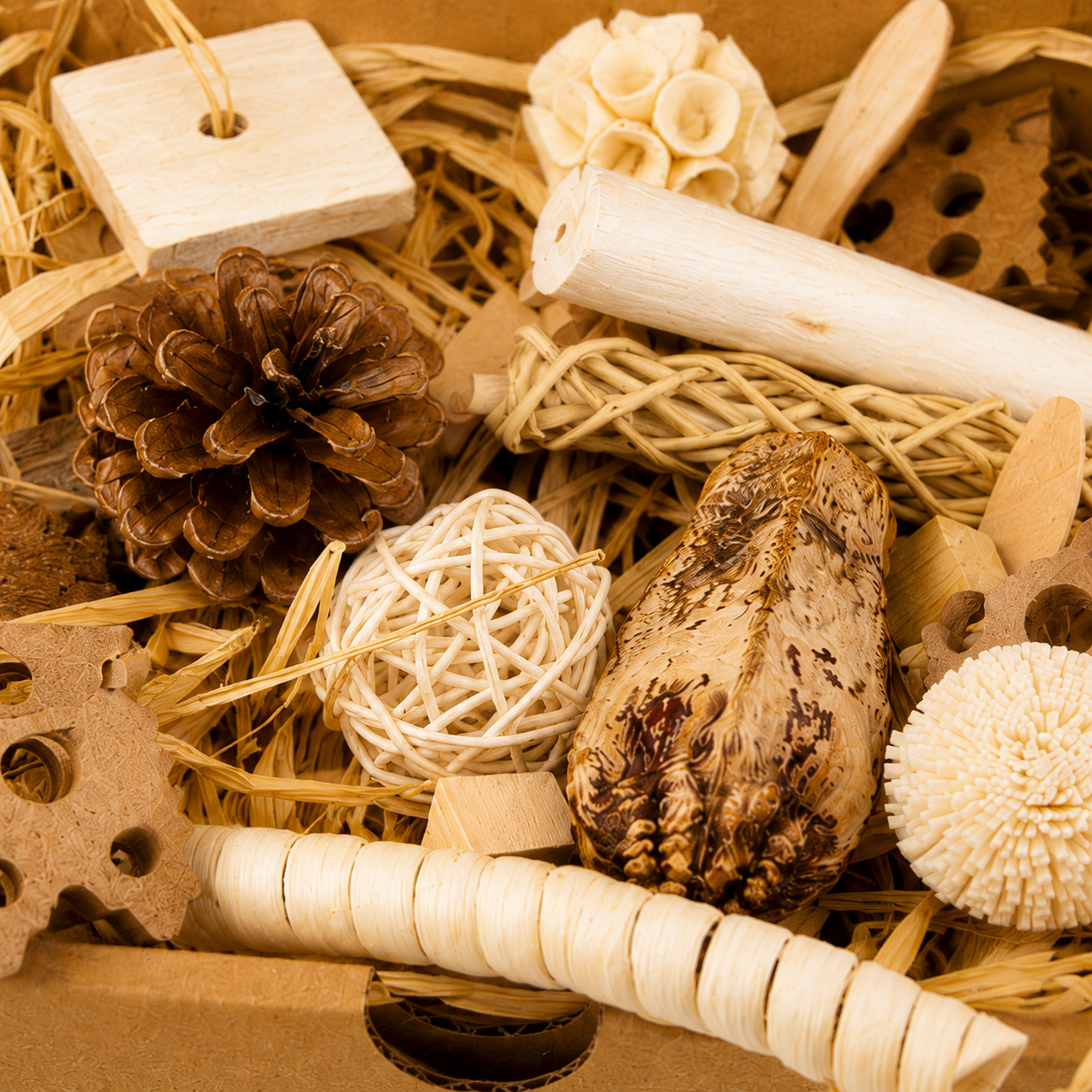 2028 Natural Foraging Bonka Box - Bonka Bird Toys