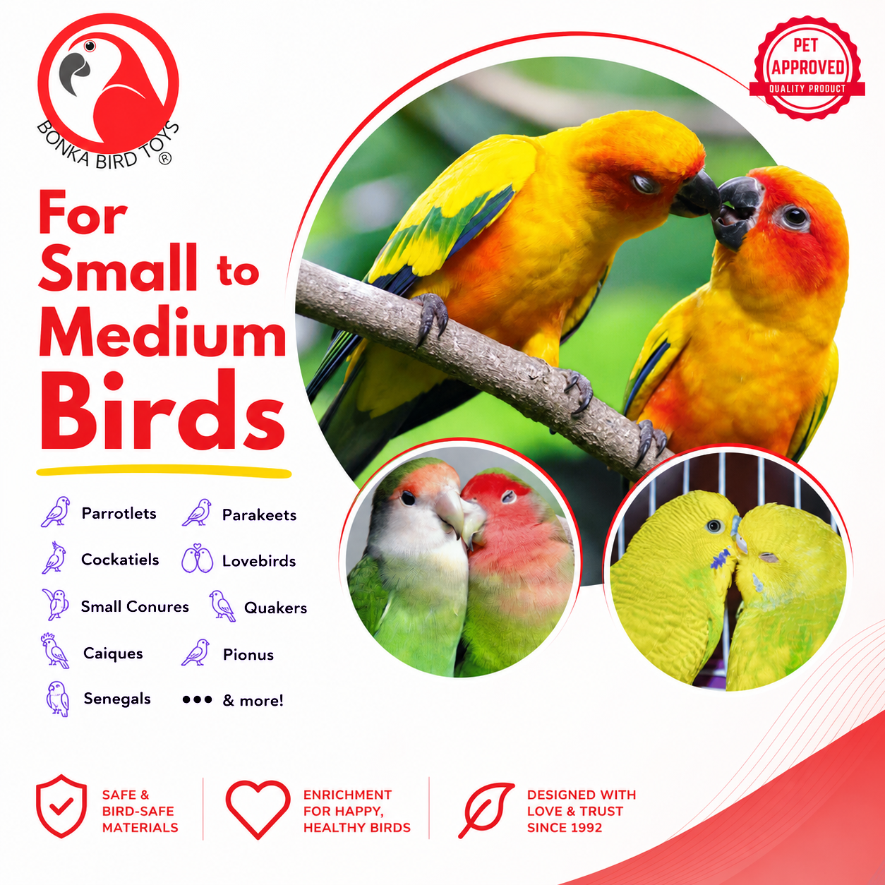 2552 Sola Chewballicious - Bonka Bird Toys