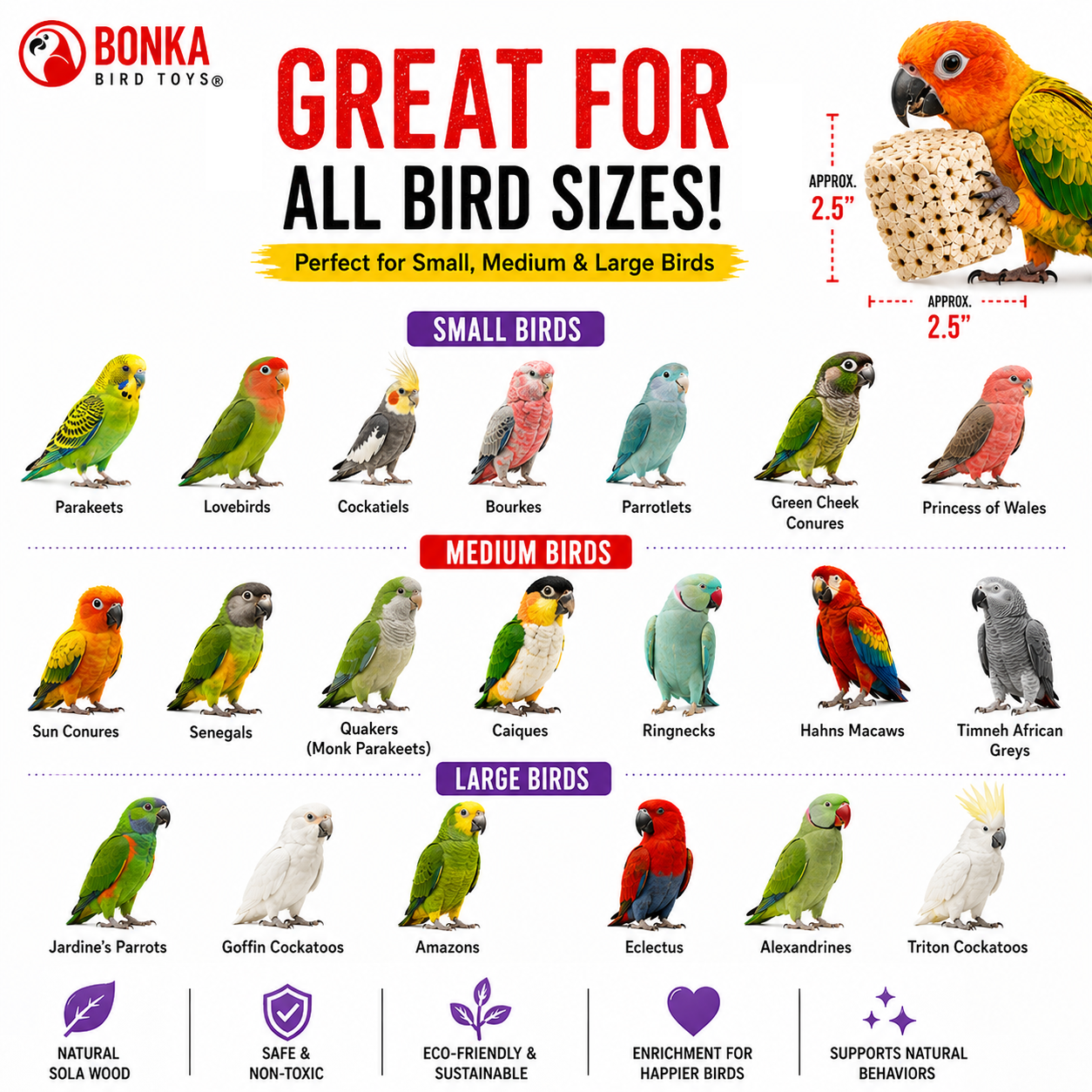 Big Sola Cubes - Bonka Bird Toys