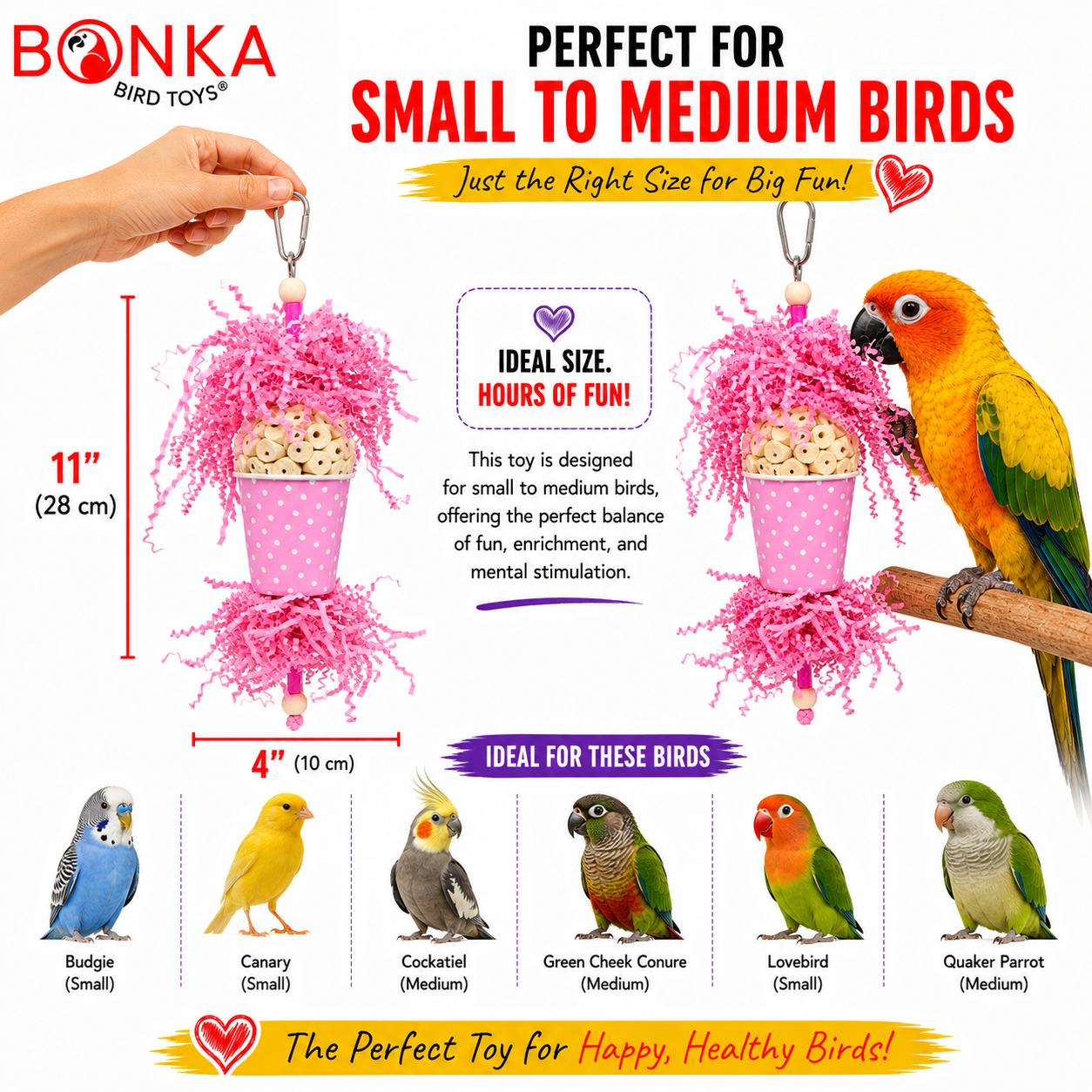 Spotty Sola Foraging Bird Toy - Bonka Bird Toys
