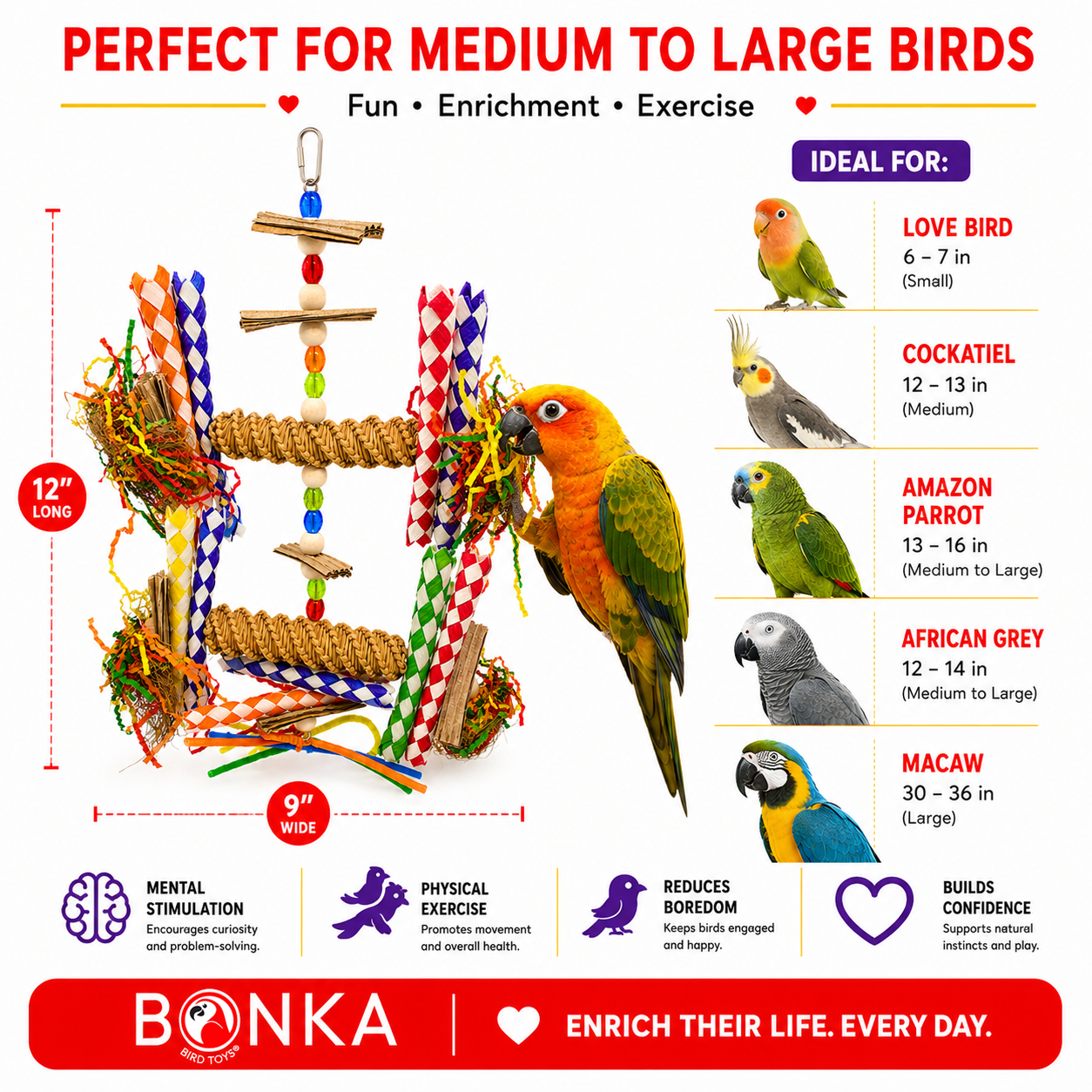 2677 Big Duo Helix - Bonka Bird Toys