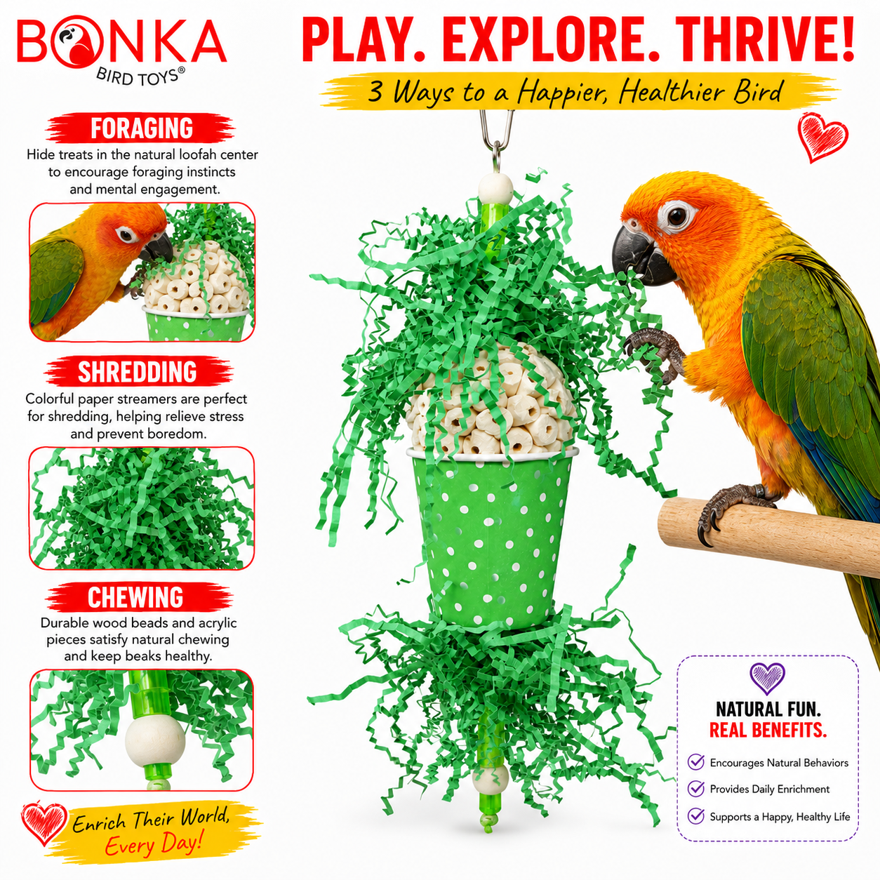 Spotty Sola Foraging Bird Toy - Bonka Bird Toys