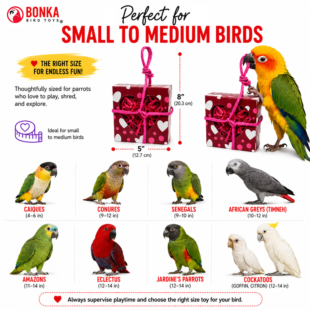2764 Heart Box Forager - Bonka Bird Toys