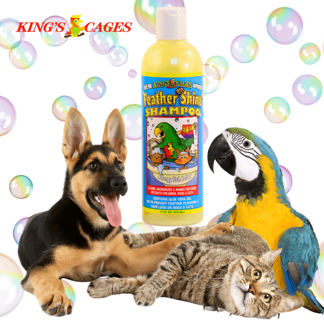 Kings Cages Feather Shine Shampoo 17oz