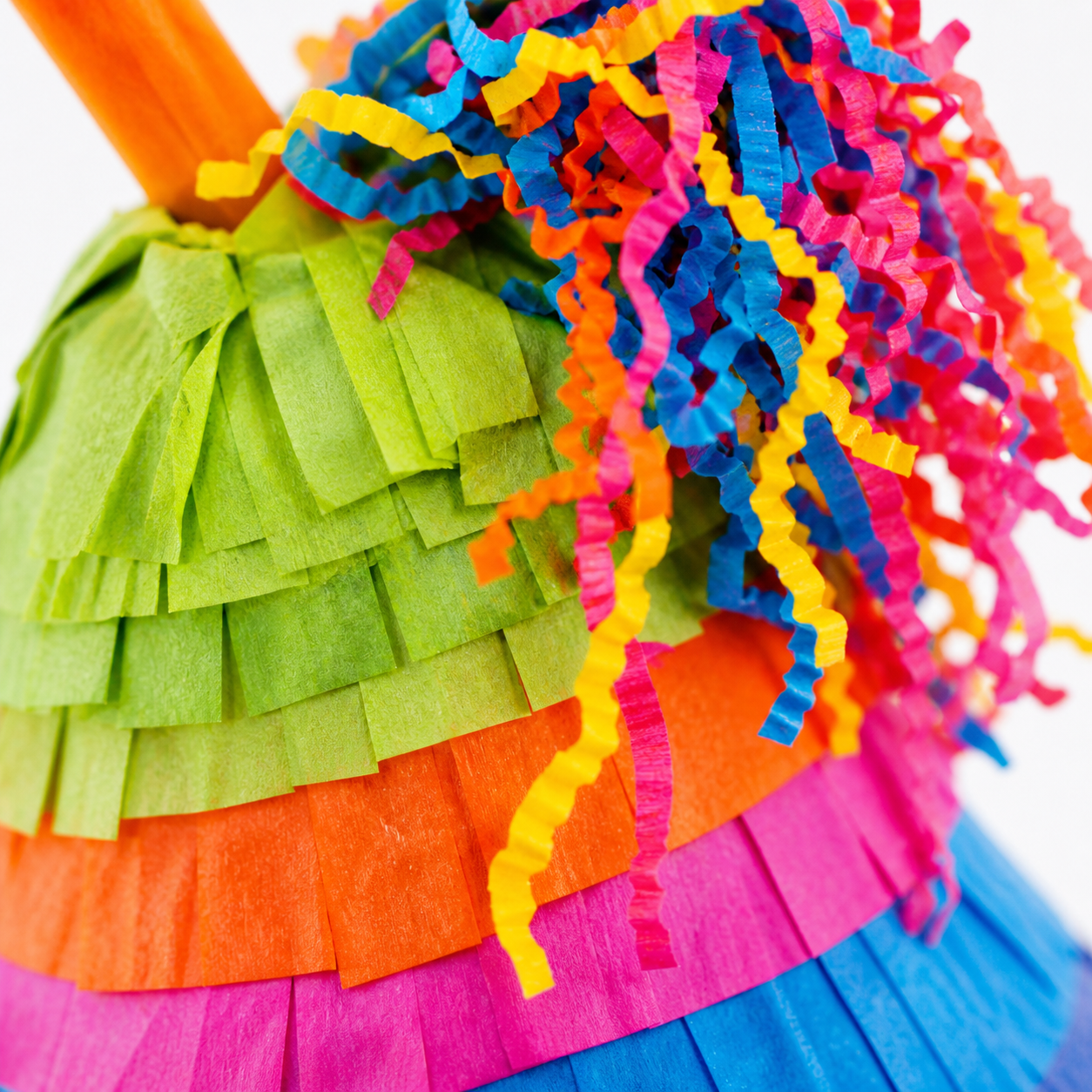 2198 Pinata Hat - Bonka Bird Toys