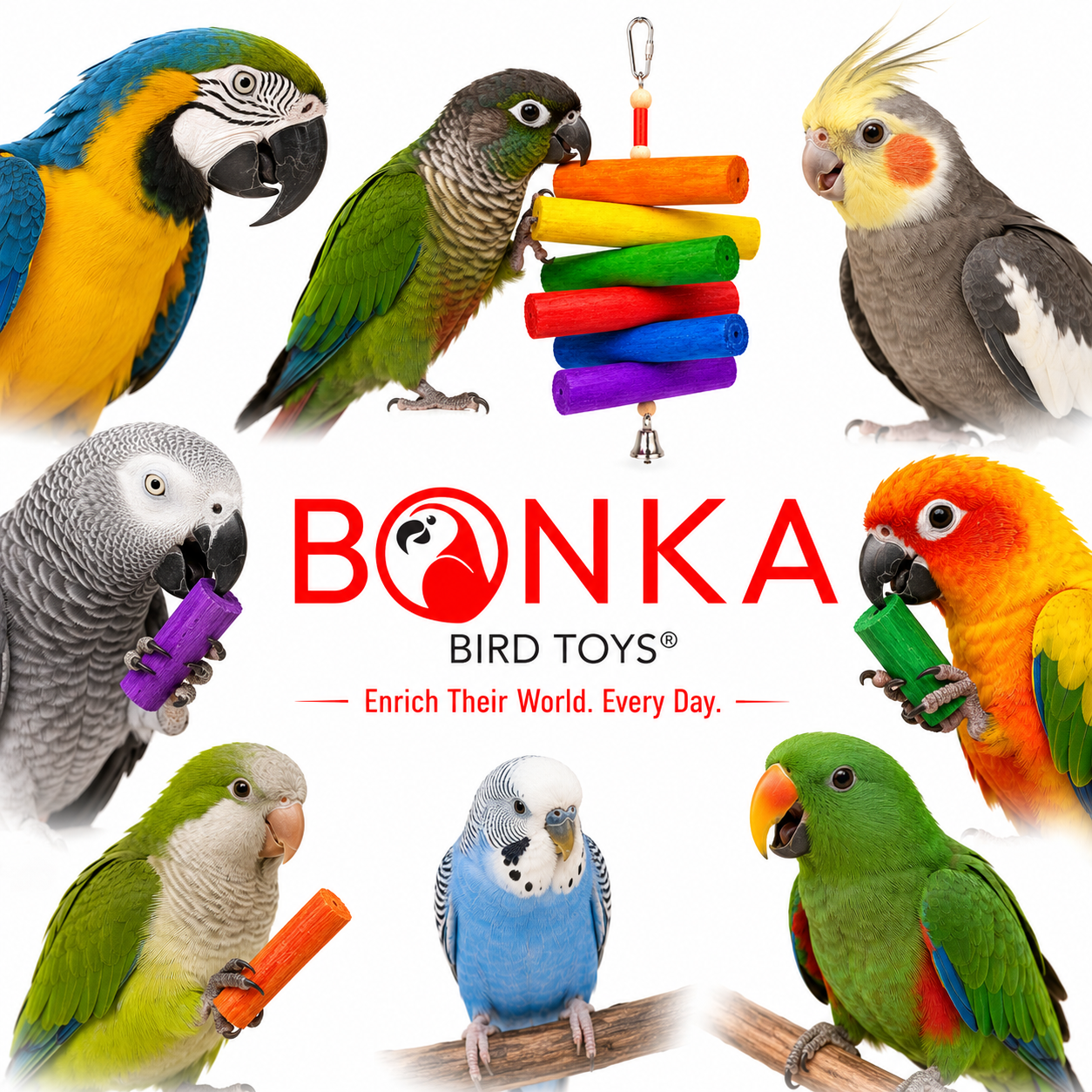 2036 Rainbow Sola - Bonka Bird Toys