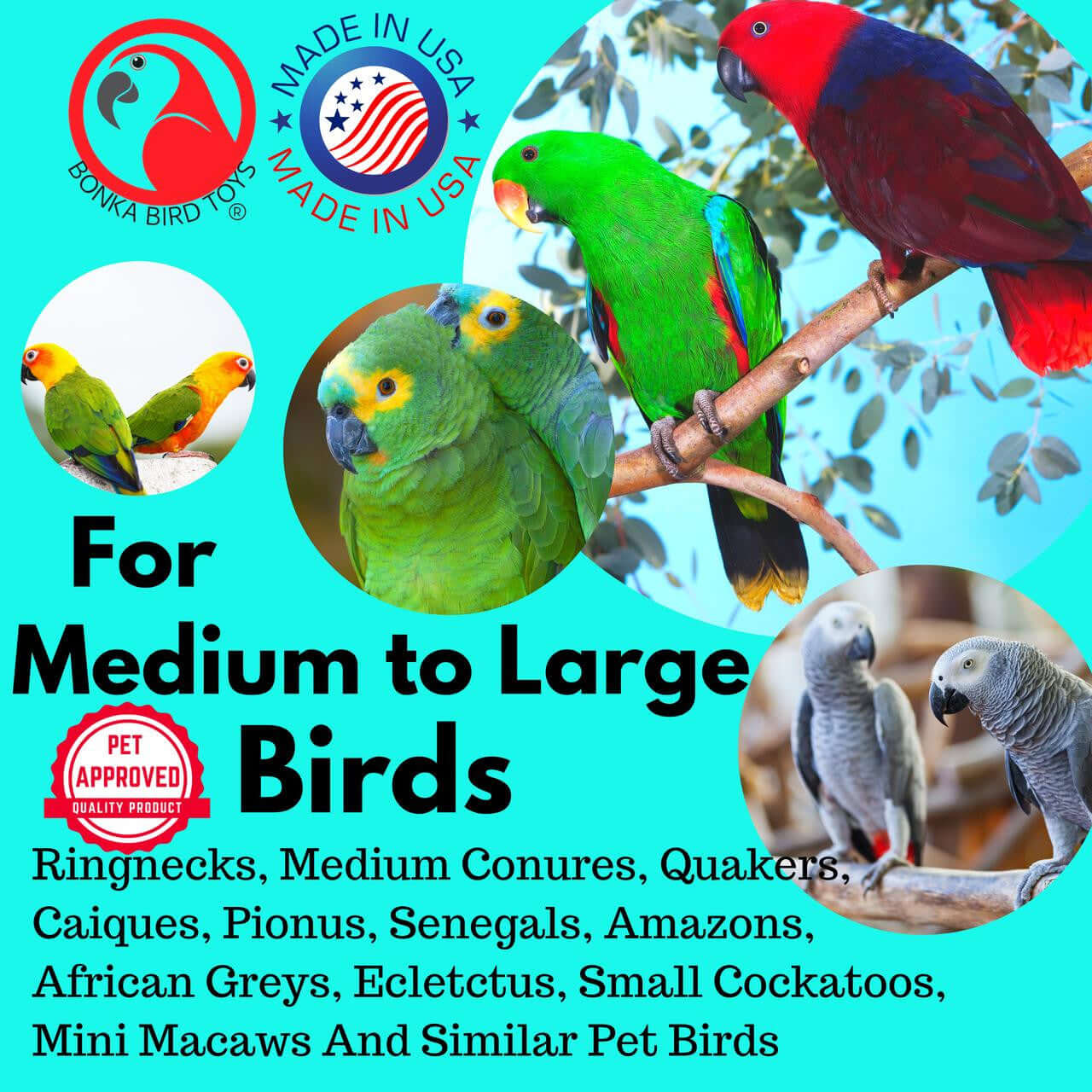 1911 Foraging Basket - Bonka Bird Toys