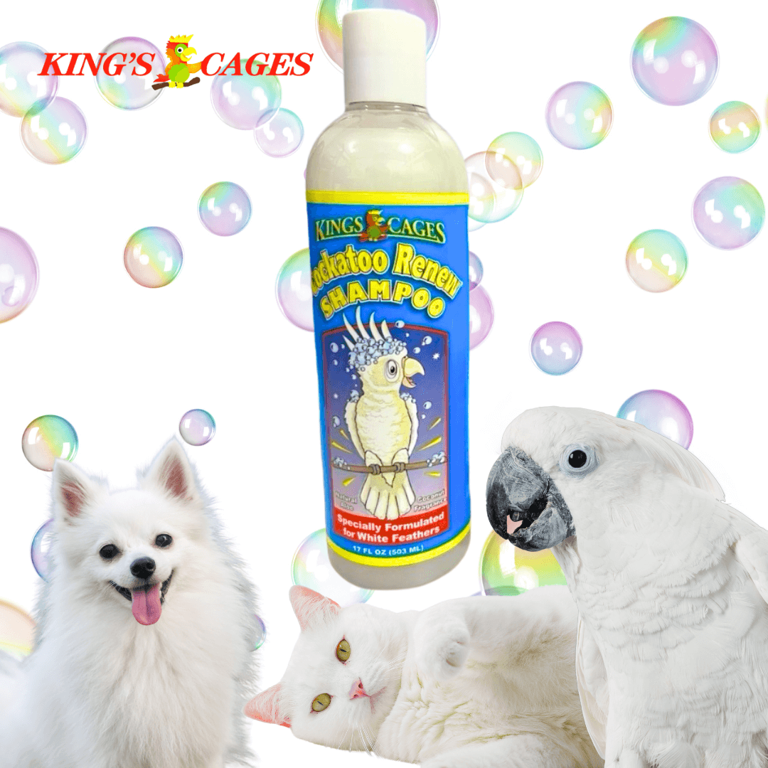 Cockatoo Renew Shampoo 17oz