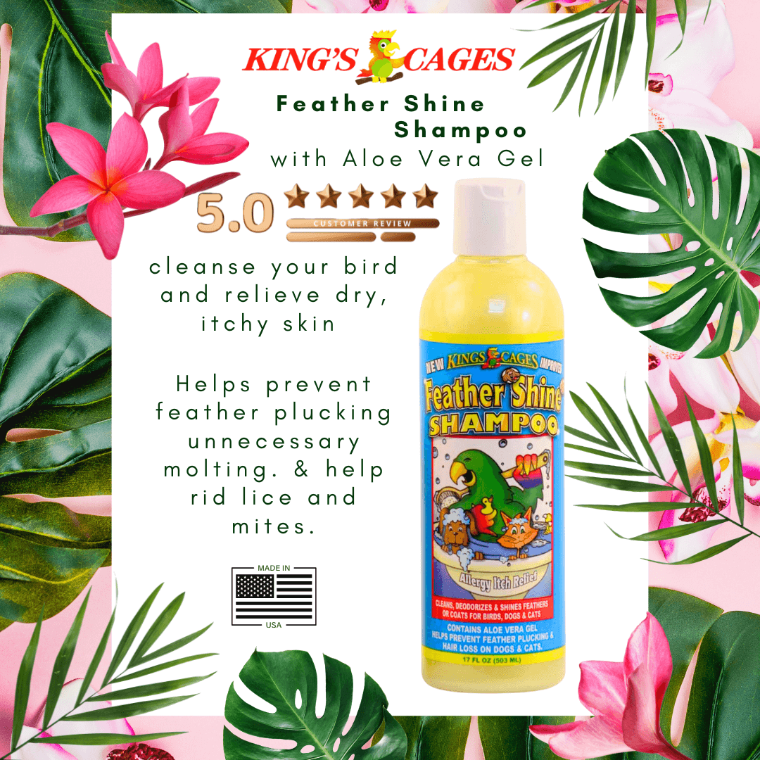 Kings Cages Feather Shine Shampoo 17oz