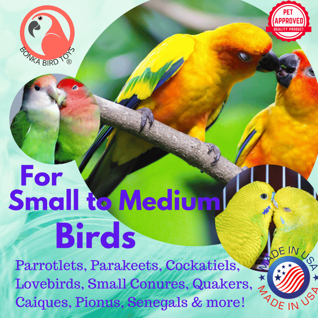 1547 Natural Helix - Bonka Bird Toys