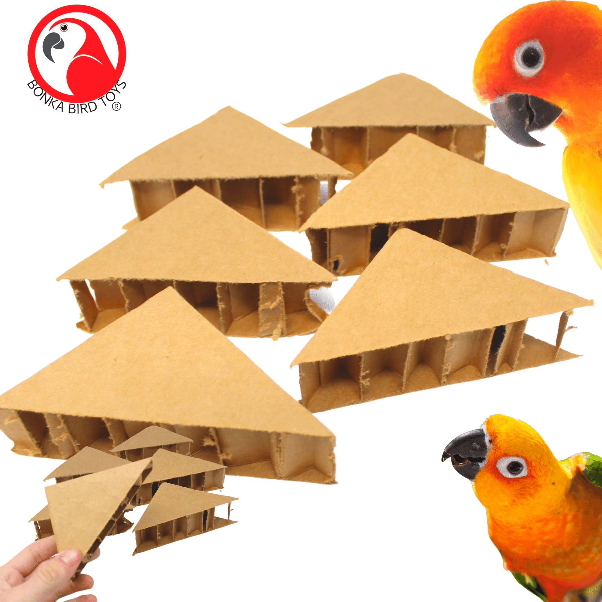 2302 Pk6 Triangles - Bonka Bird Toys