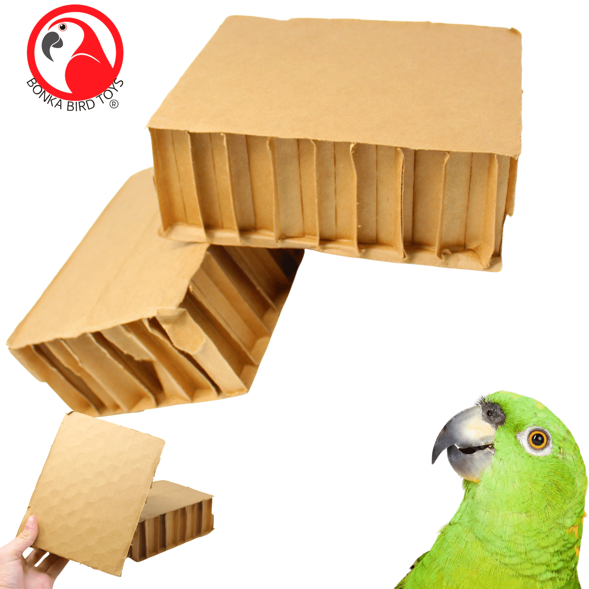 2292 Pk2 Jumbo 8-Inch Cardboard Blocks - Bonka Bird Toys