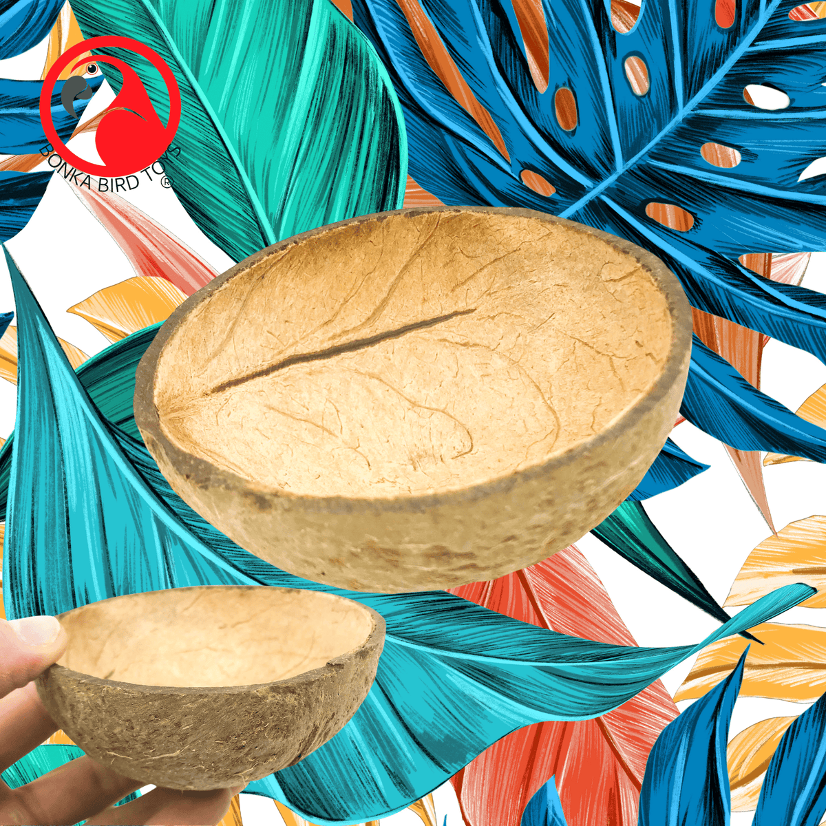 2054 Coconut Cup Flat Base from Bonka Bird Toys
