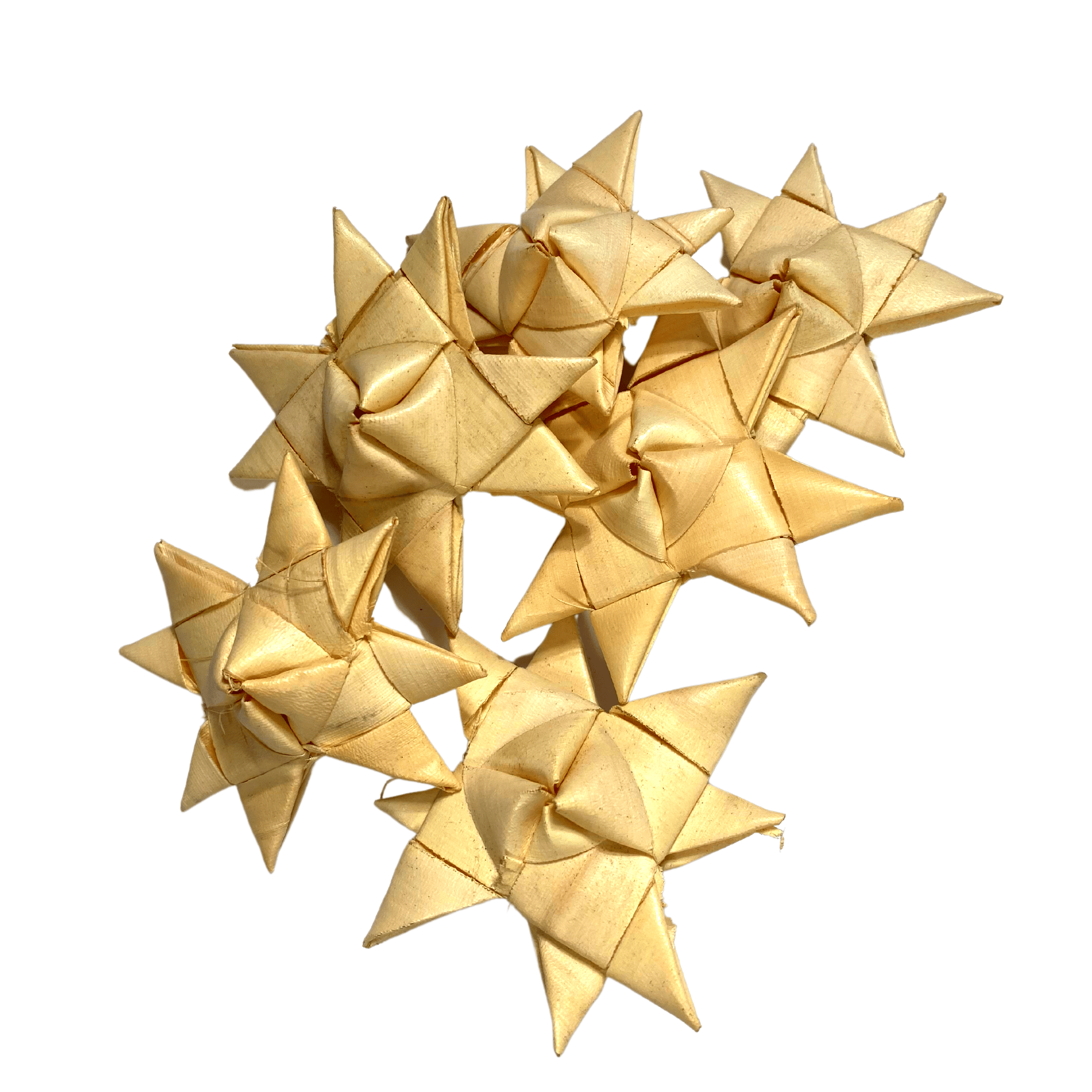 3321 Pk6 Palm Star - Bonka Bird Toys