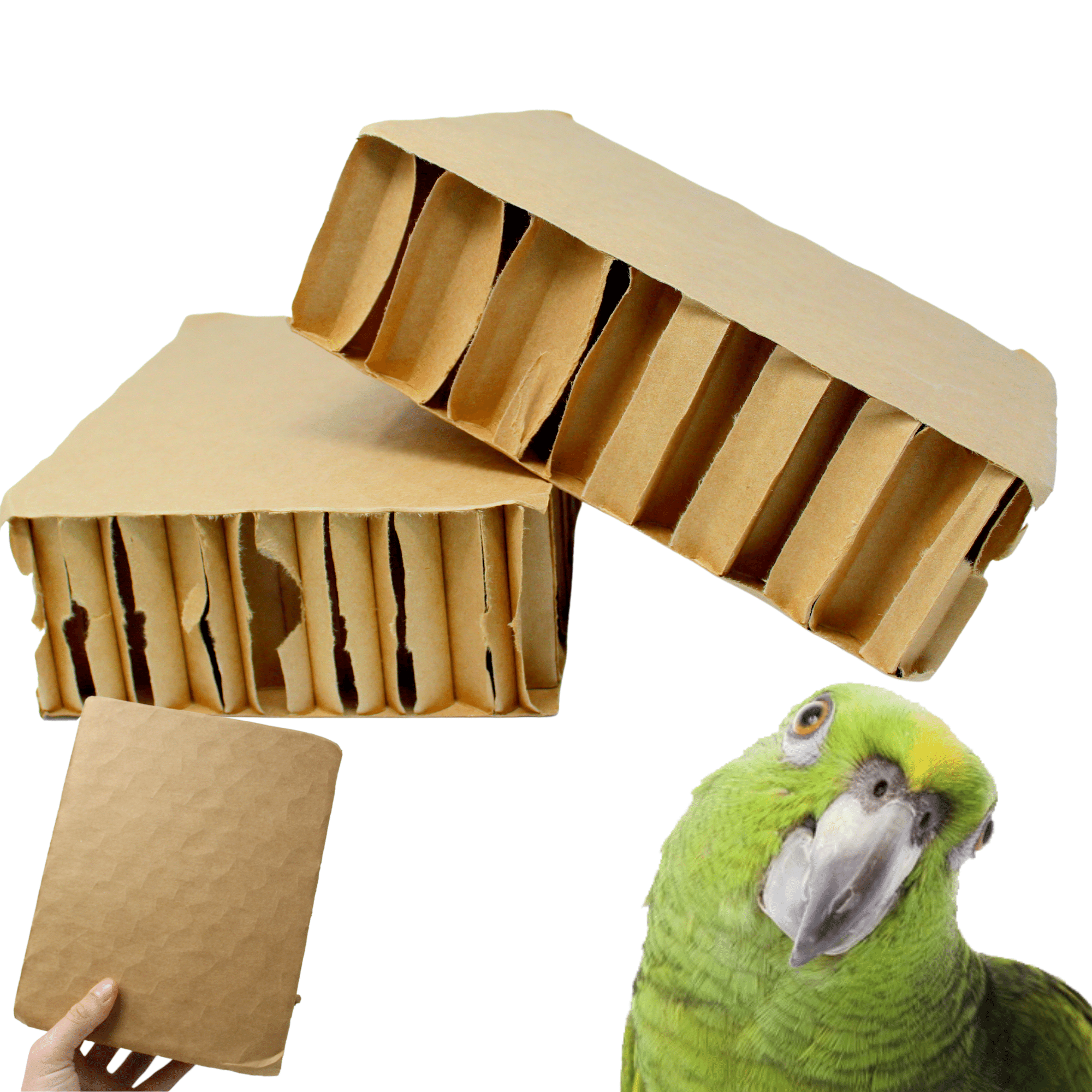 2291 Pk2 Jumbo 9.5-Inch Blocks - Bonka Bird Toys