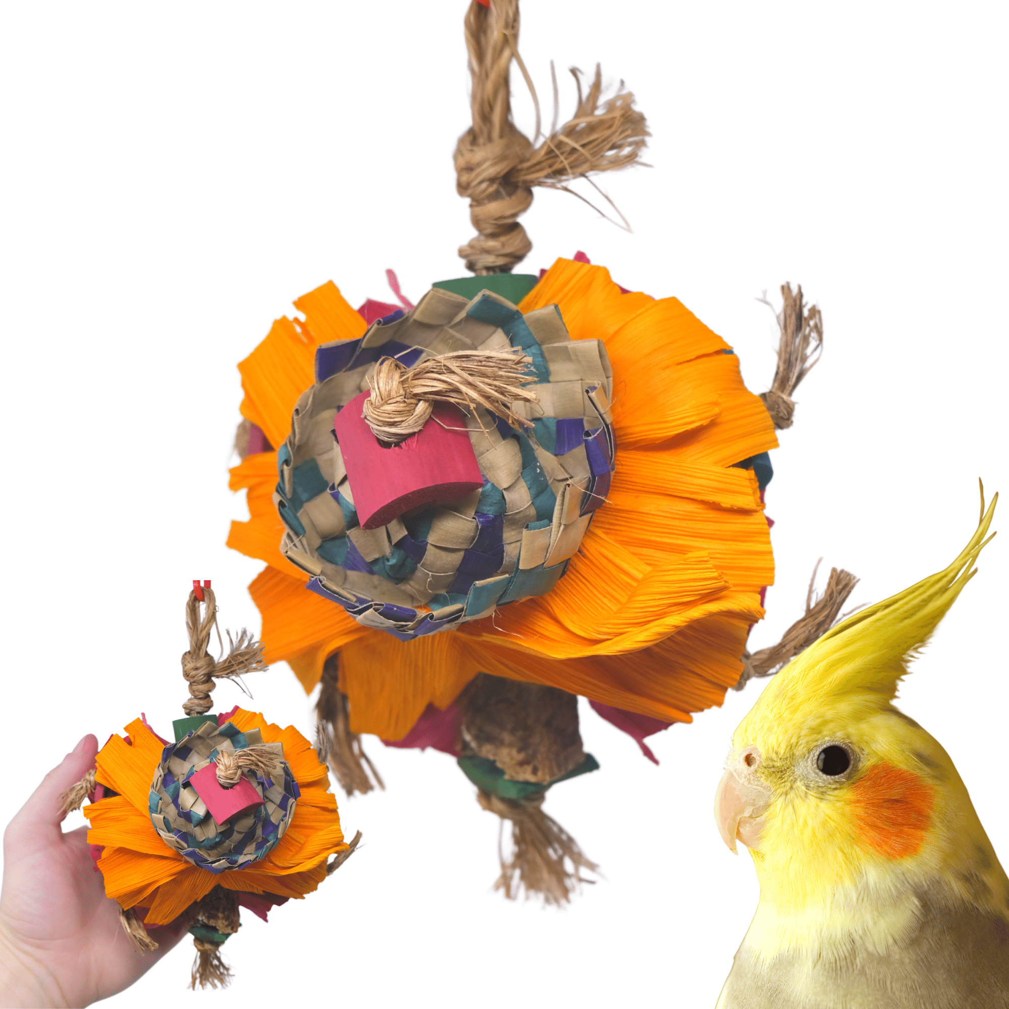 41361 Cabo - Bonka Bird Toys