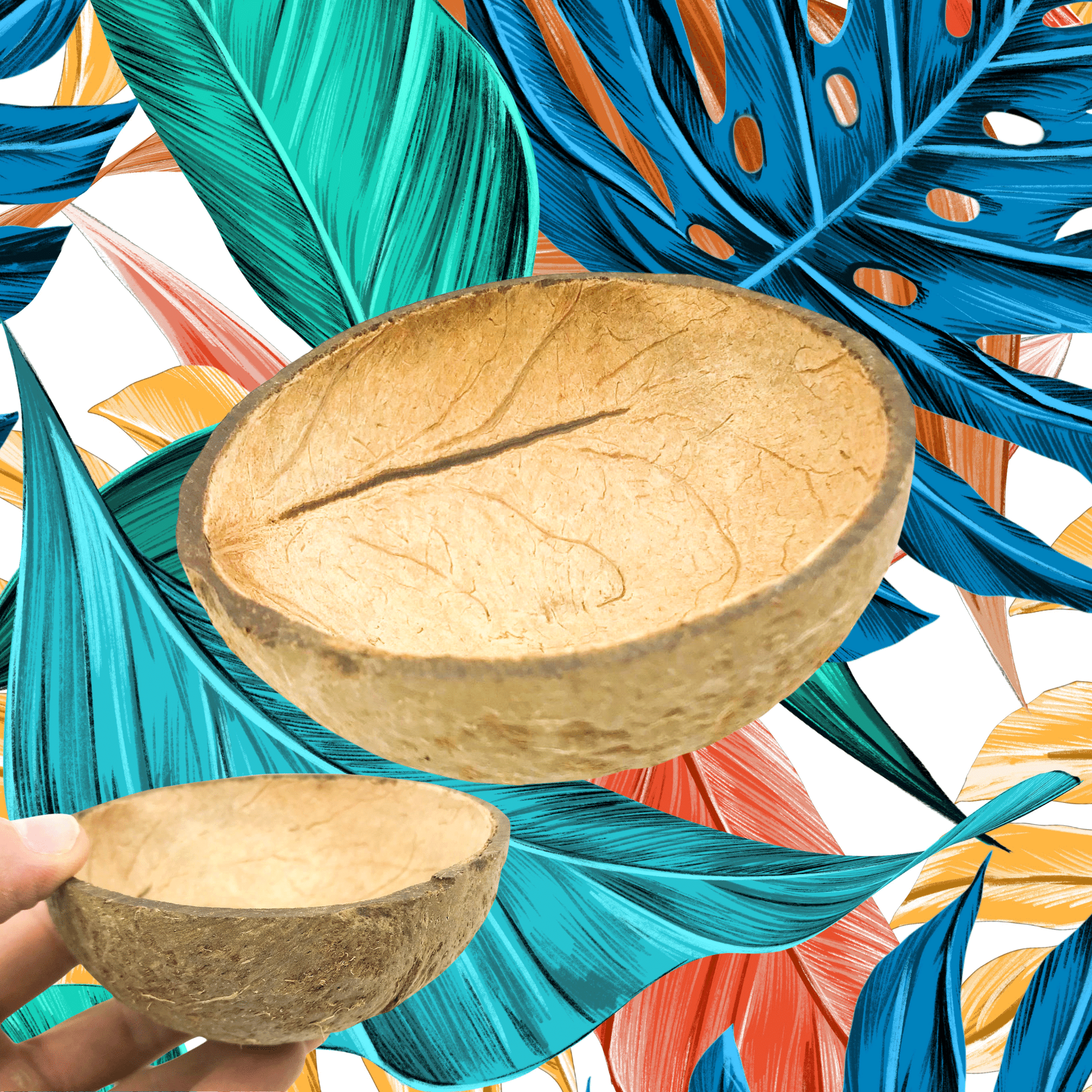 2054 Coconut Cup Flat Base - Bonka Bird Toys