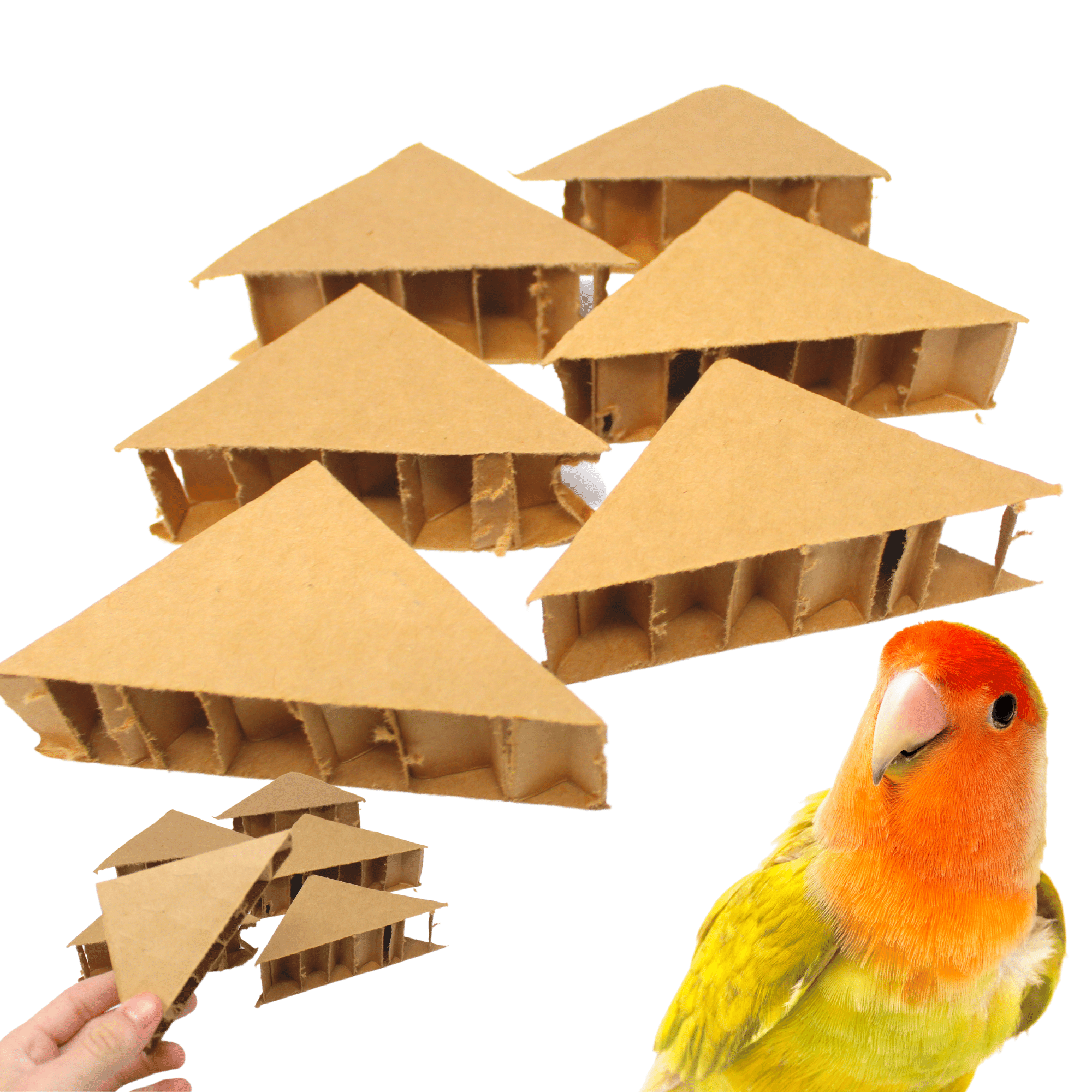 2302 Pk6 Triangles - Bonka Bird Toys