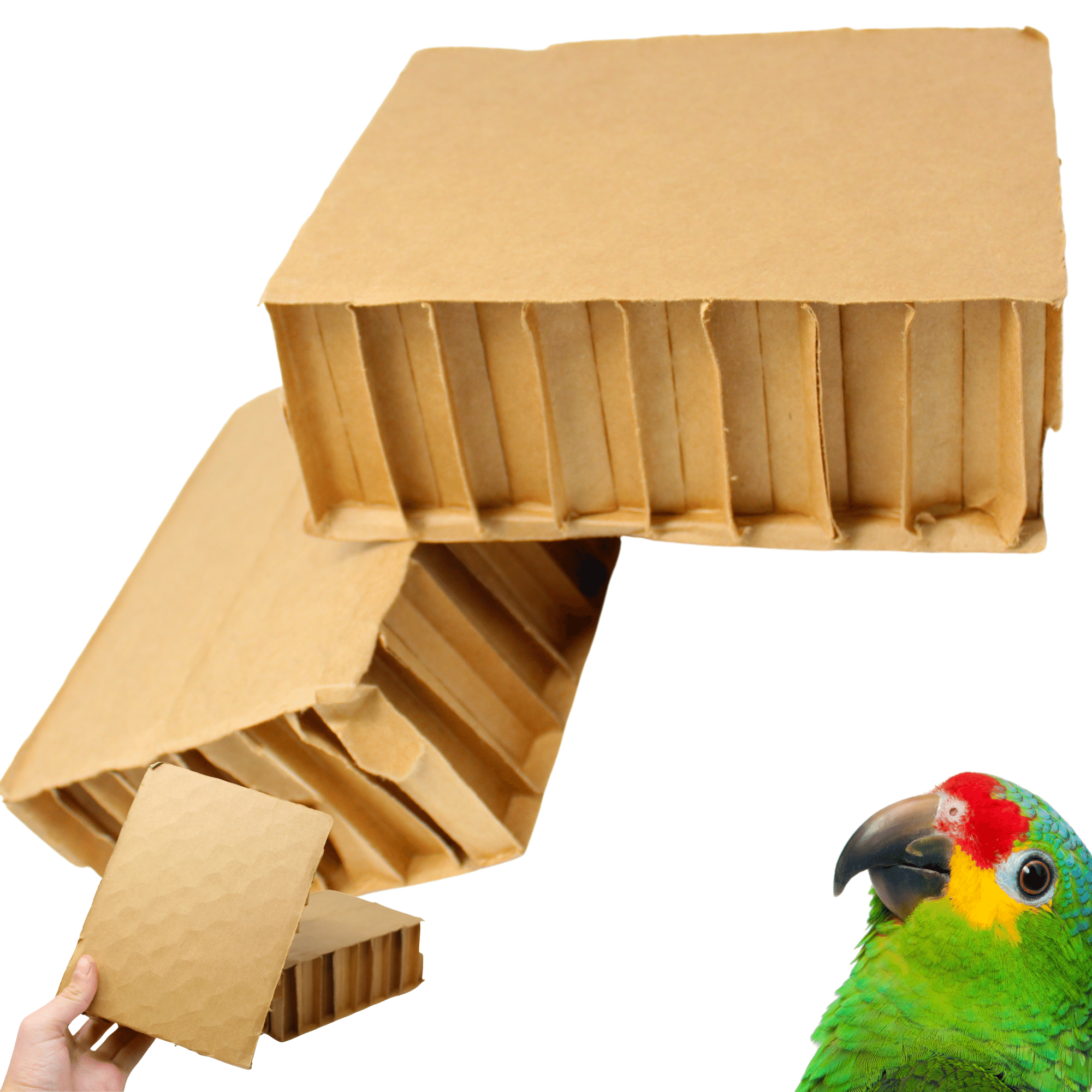 2292 Pk2 Jumbo 8-Inch Cardboard Blocks - Bonka Bird Toys