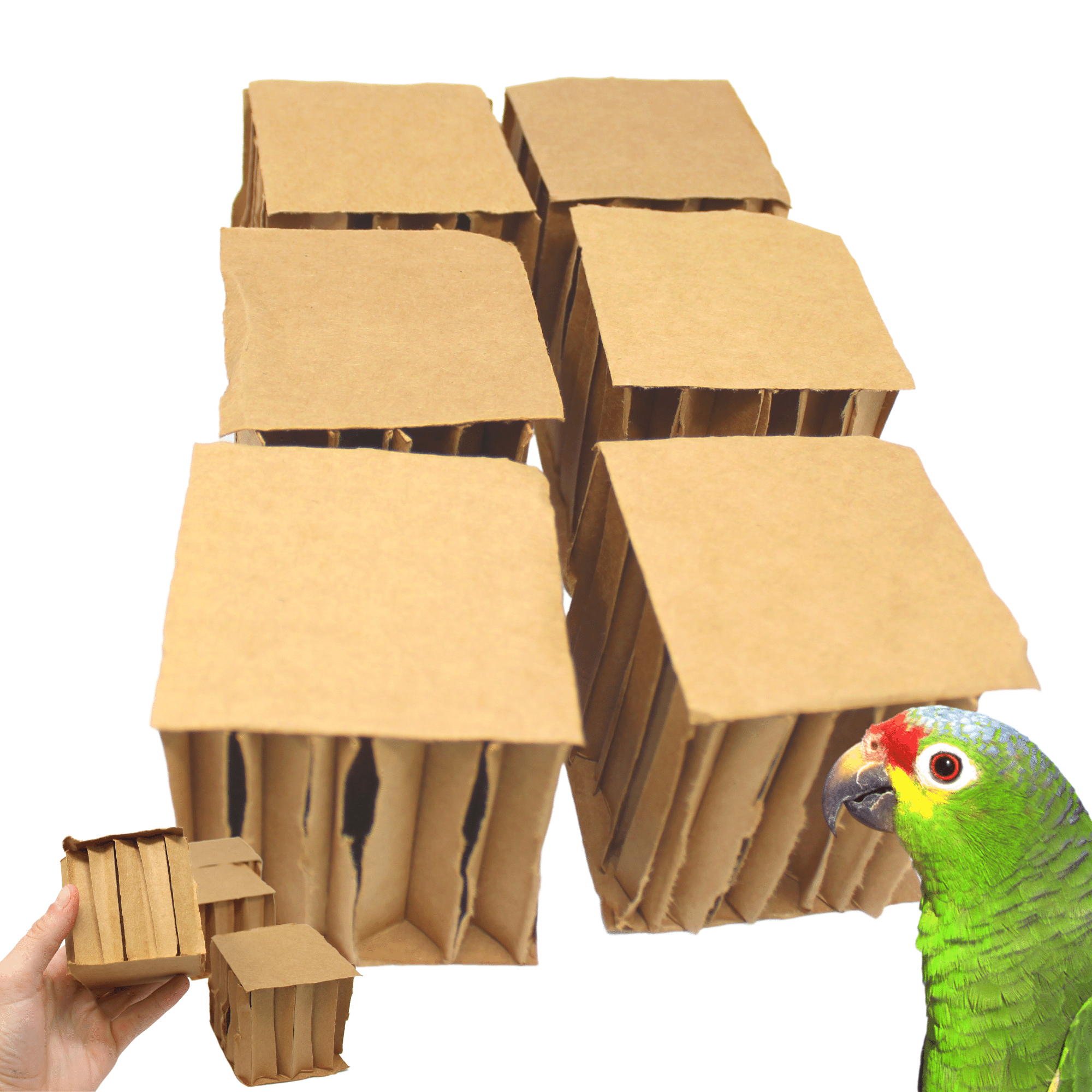 2296 Pk6 3-Inch Cardboard Cubes - Bonka Bird Toys