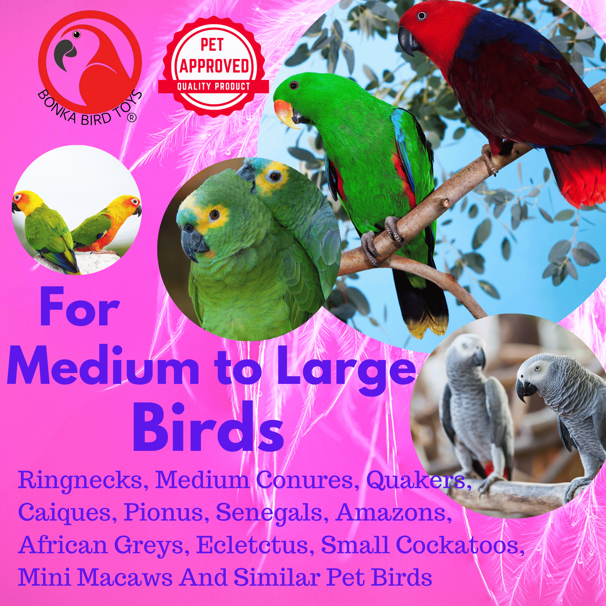 1209 Big Ziggy - Bonka Bird Toys