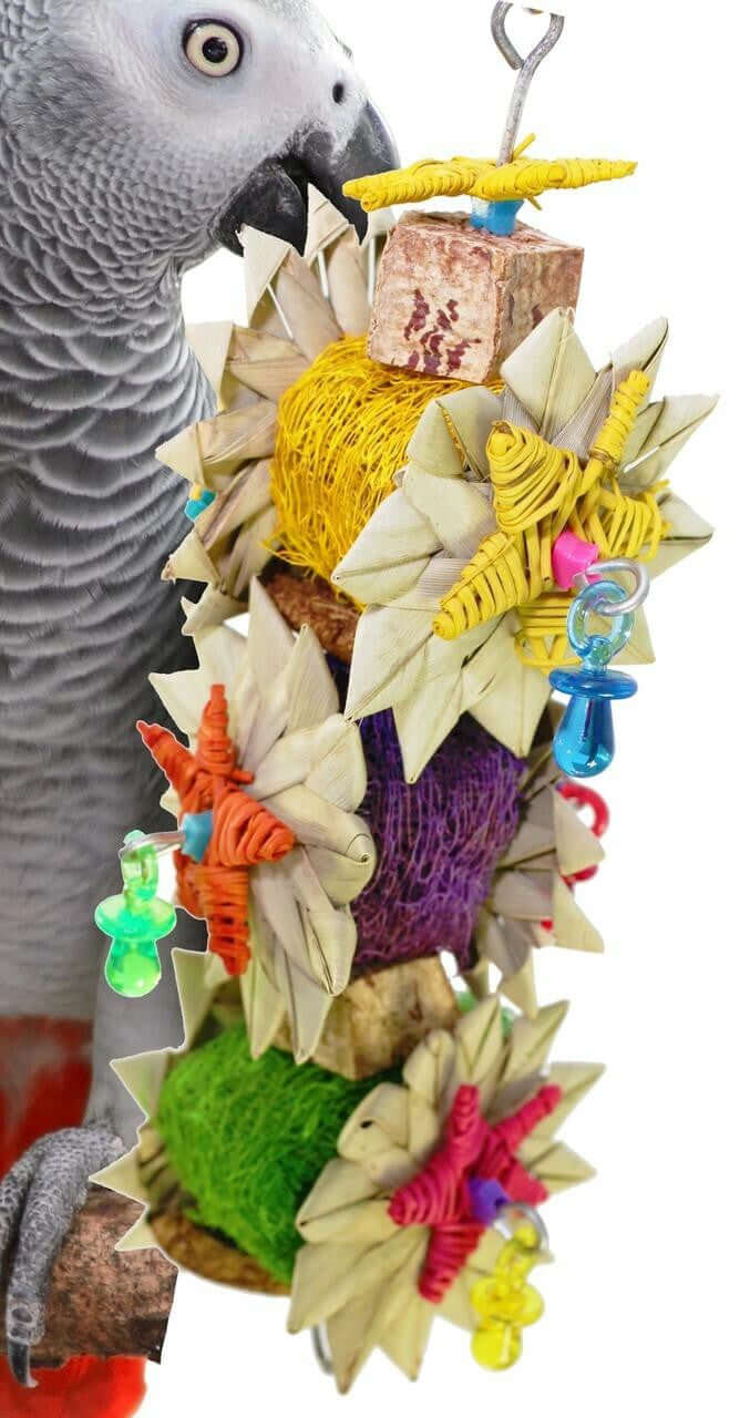 01098 Palm Star - Bonka Bird Toys
