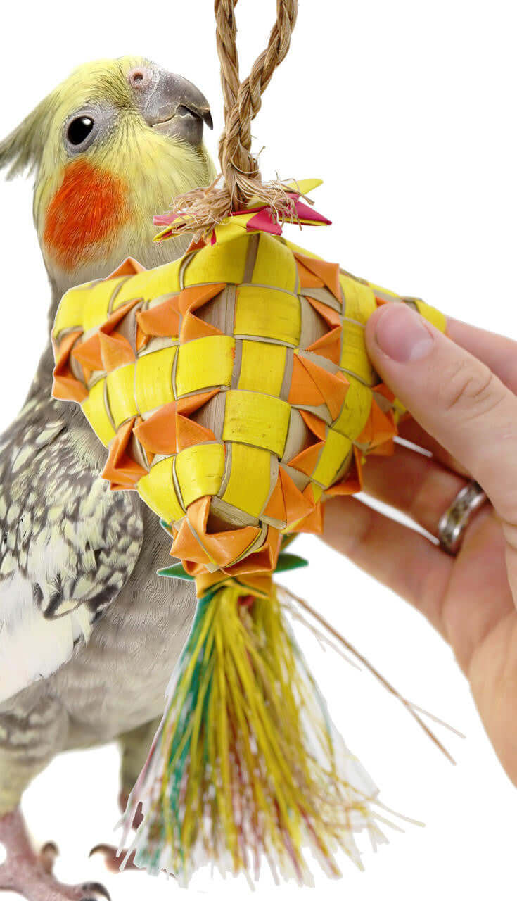 03414 Medium Diamond - Bonka Bird Toys