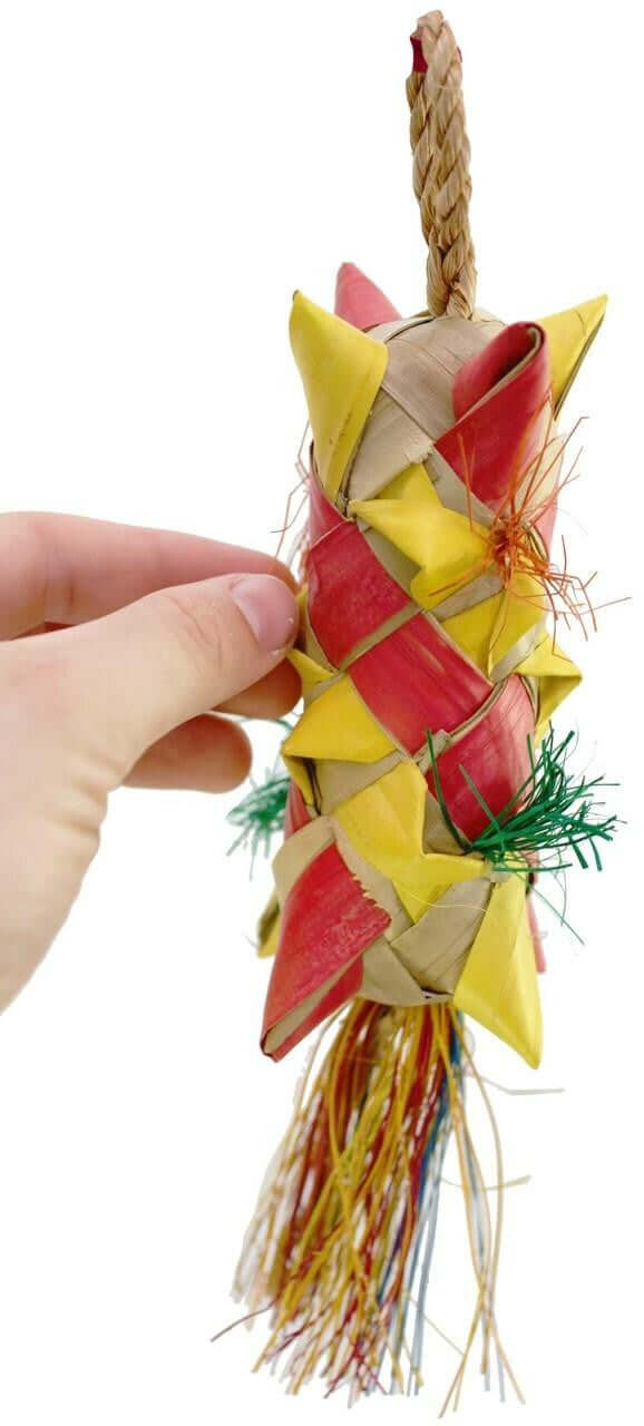 03423 Medium Carnival - Bonka Bird Toys