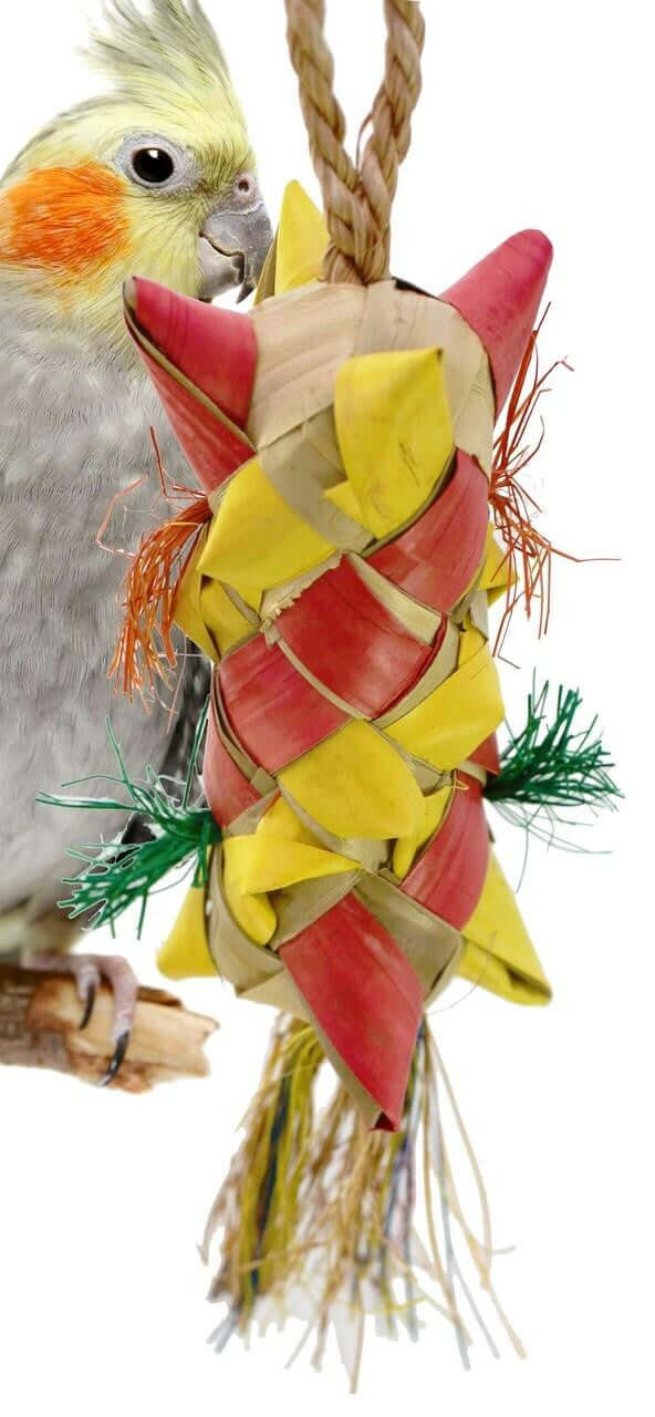 03423 Medium Carnival - Bonka Bird Toys