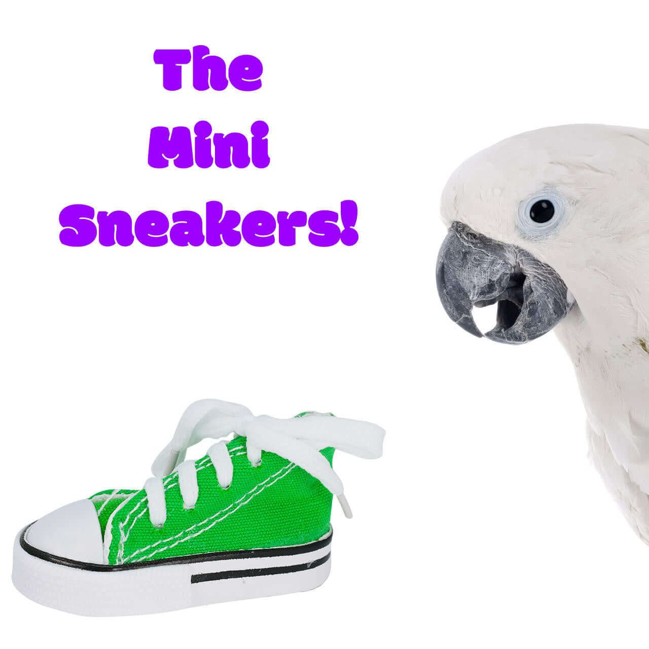 2-4-6-12-24 Mini Sneaker Shoe Foot Talon Toys - Bonka Bird Toys