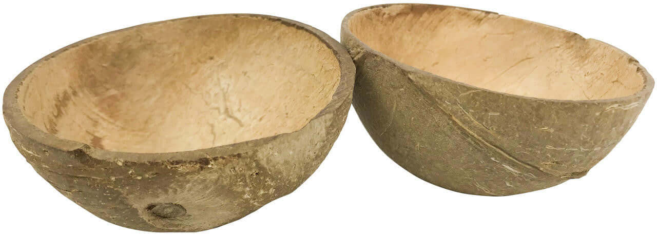 2055 2pk Coconut Cup Flat Base - Bonka Bird Toys