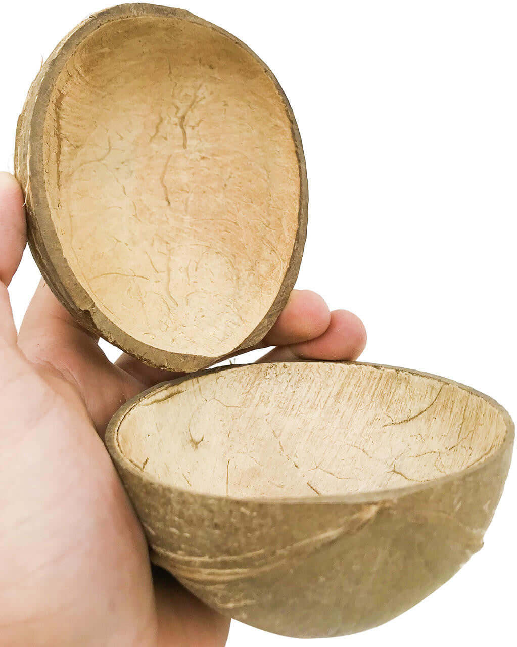 2055 2pk Coconut Cup Flat Base - Bonka Bird Toys