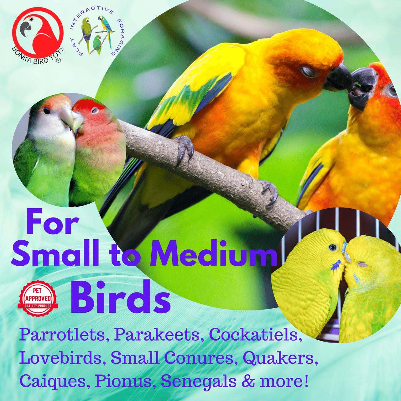 2279 Spikey Monkey - Bonka Bird Toys