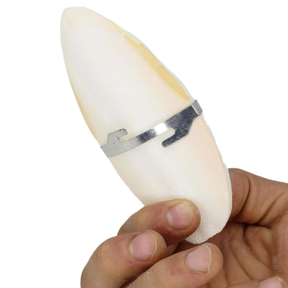 30002 Large Cuttlebone - Bonka Bird Toys