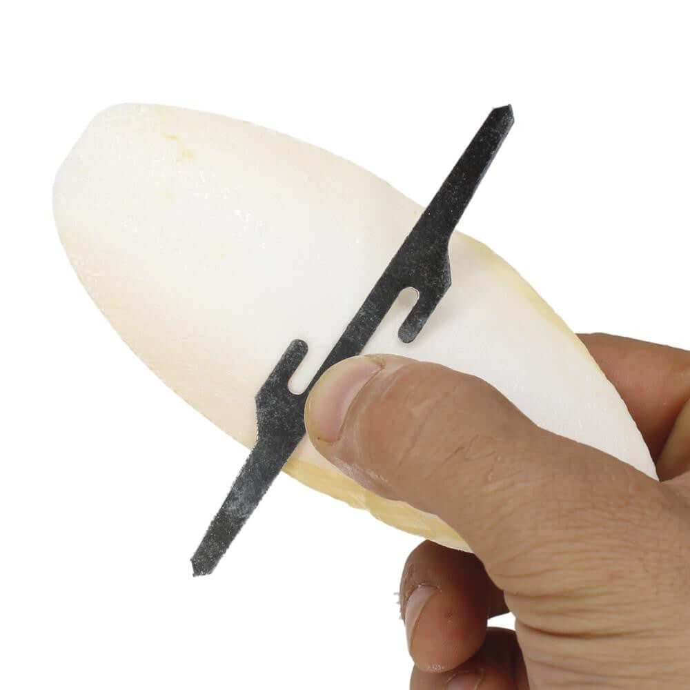 30002 Large Cuttlebone - Bonka Bird Toys