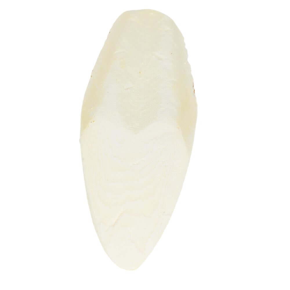 30002 Large Cuttlebone - Bonka Bird Toys