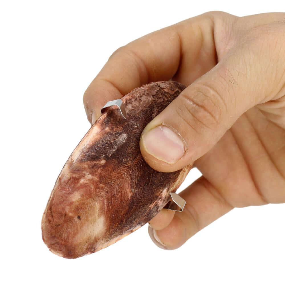 30003 Medium Cuttlebone Peanut Flavor - Bonka Bird Toys