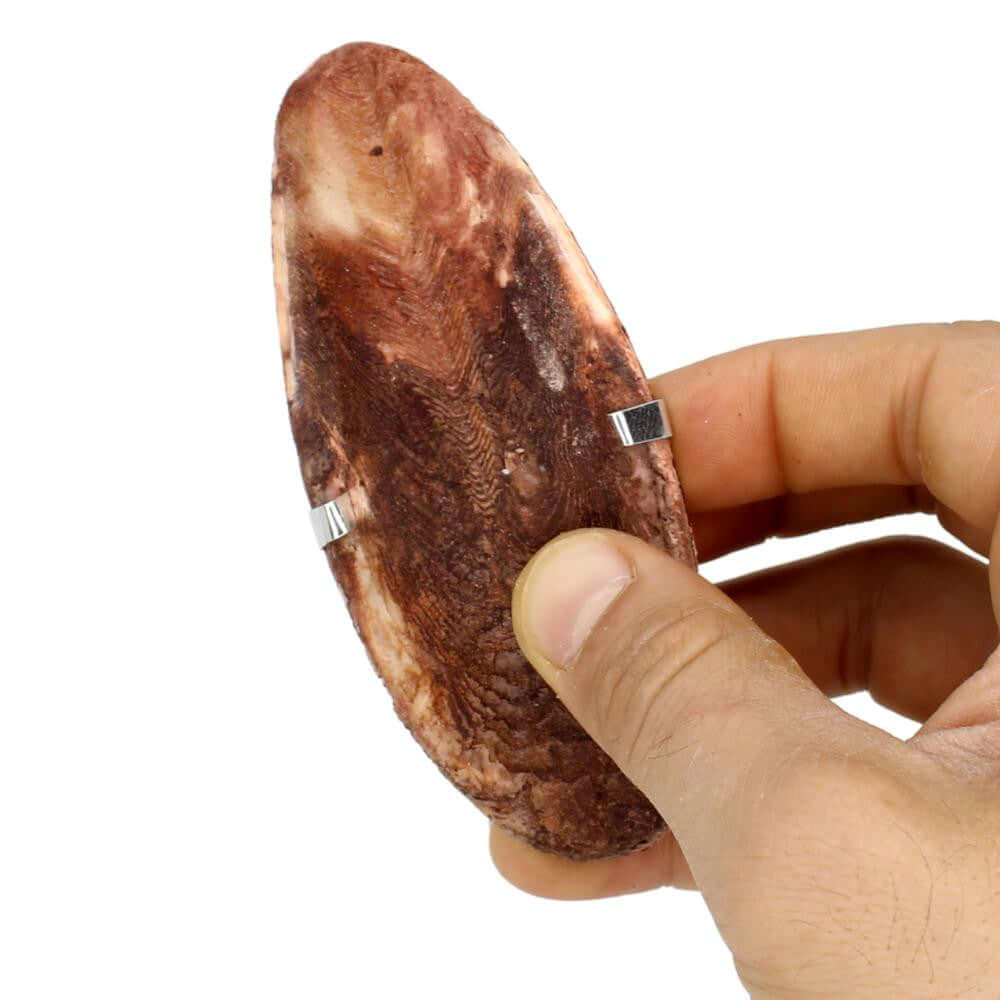 30003 Medium Cuttlebone Peanut Flavor - Bonka Bird Toys